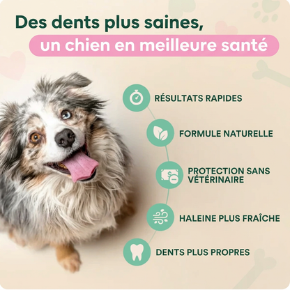 Spray Dentaire Probiotique pour Chien & Chat