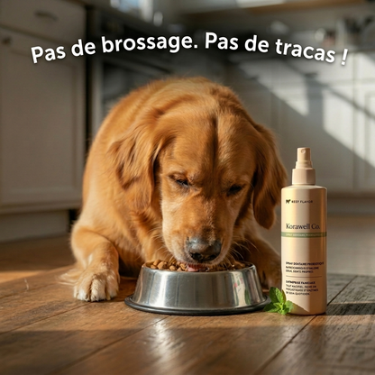 Spray Dentaire Probiotique pour Chien & Chat